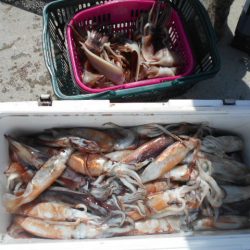 大進丸(愛知) 釣果