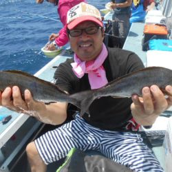 大進丸（愛知） 釣果