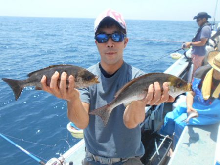 大進丸（愛知） 釣果