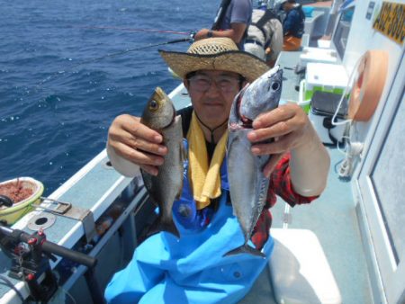 大進丸（愛知） 釣果