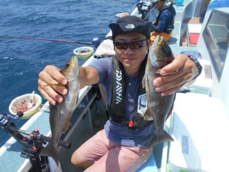 大進丸（愛知） 釣果