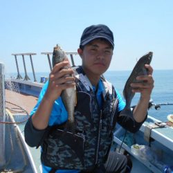 大進丸（愛知） 釣果