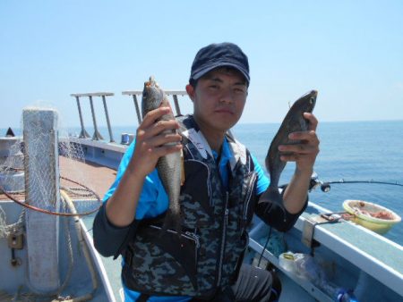 大進丸（愛知） 釣果