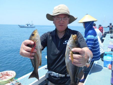 大進丸（愛知） 釣果