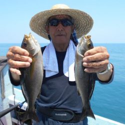 大進丸（愛知） 釣果