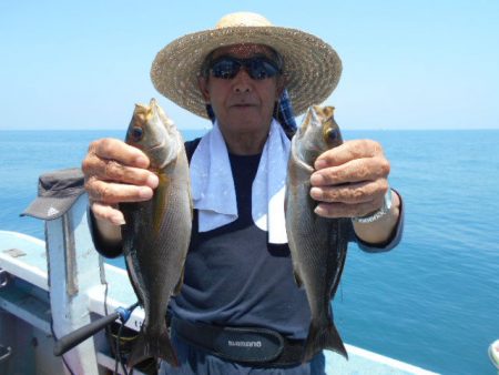 大進丸（愛知） 釣果