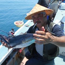 大進丸（愛知） 釣果