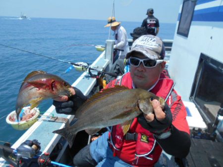 大進丸（愛知） 釣果