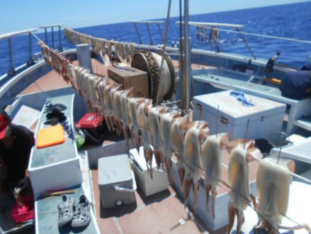 大進丸(愛知) 釣果