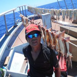 大進丸(愛知) 釣果