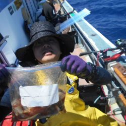 大進丸(愛知) 釣果