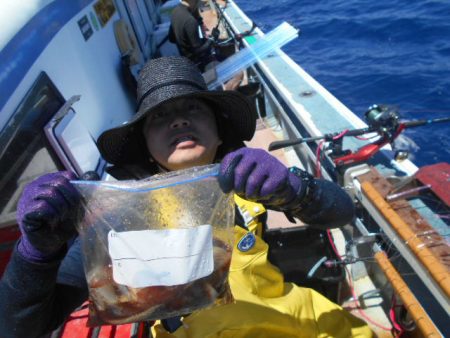 大進丸(愛知) 釣果