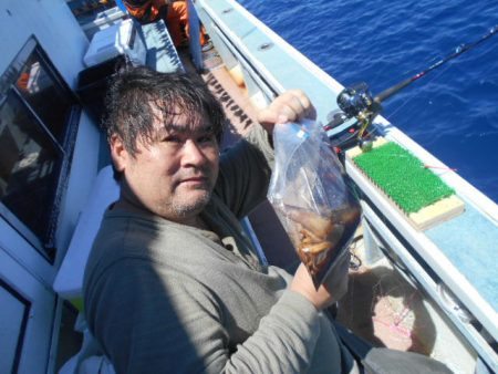 大進丸(愛知) 釣果