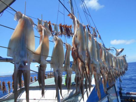 大進丸(愛知) 釣果