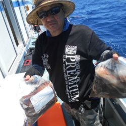 大進丸(愛知) 釣果