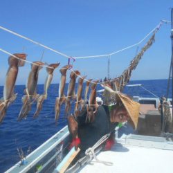 大進丸（愛知） 釣果