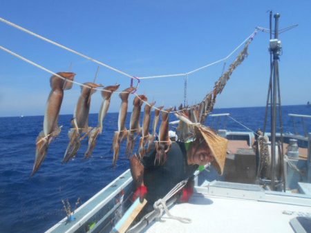 大進丸（愛知） 釣果