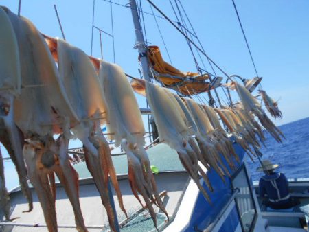 大進丸（愛知） 釣果