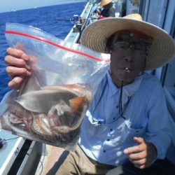 大進丸（愛知） 釣果