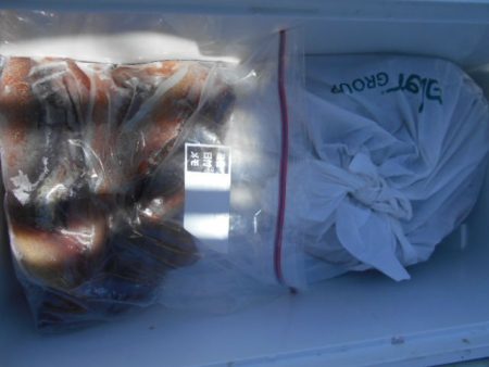 大進丸（愛知） 釣果