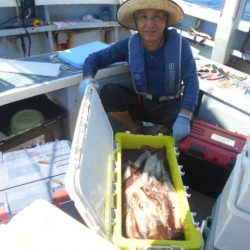 大進丸（愛知） 釣果