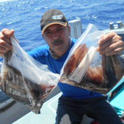 大進丸（愛知） 釣果