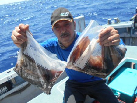大進丸（愛知） 釣果