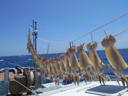 大進丸（愛知） 釣果
