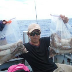 大進丸（愛知） 釣果