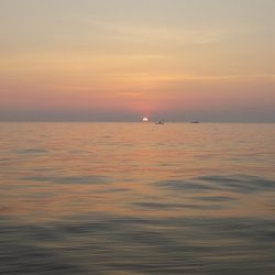 フィッシングボート空風(そらかぜ) 釣果