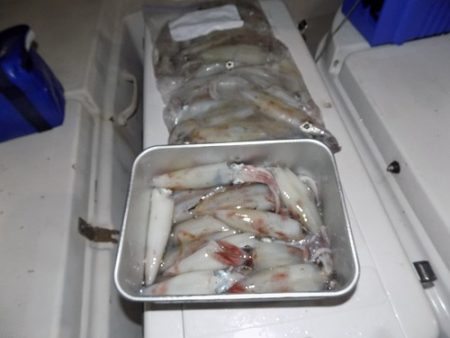 フィッシングボート空風(そらかぜ) 釣果