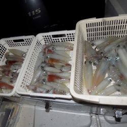 フィッシングボート空風(そらかぜ) 釣果