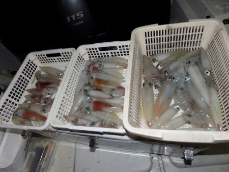 フィッシングボート空風(そらかぜ) 釣果