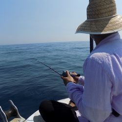 フィッシングボート空風(そらかぜ) 釣果