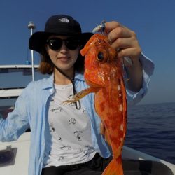 フィッシングボート空風(そらかぜ) 釣果