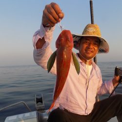 フィッシングボート空風(そらかぜ) 釣果
