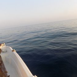 フィッシングボート空風(そらかぜ) 釣果