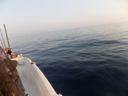 フィッシングボート空風(そらかぜ) 釣果