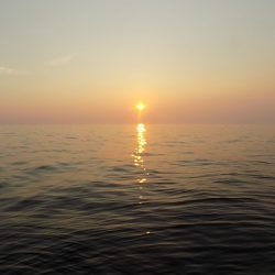 フィッシングボート空風(そらかぜ) 釣果