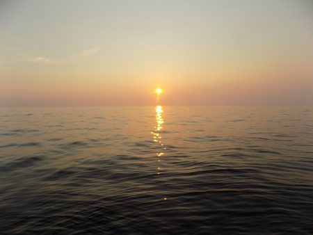 フィッシングボート空風(そらかぜ) 釣果