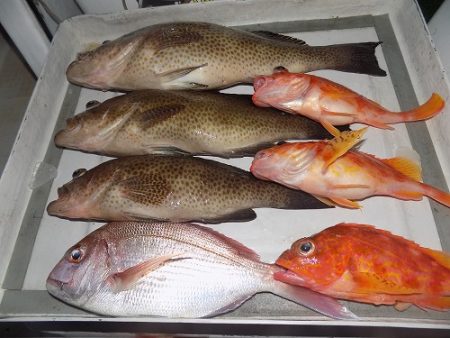 フィッシングボート空風(そらかぜ) 釣果