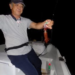 フィッシングボート空風(そらかぜ) 釣果