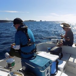 フィッシングボート空風(そらかぜ) 釣果