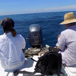 フィッシングボート空風(そらかぜ) 釣果