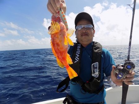 フィッシングボート空風(そらかぜ) 釣果