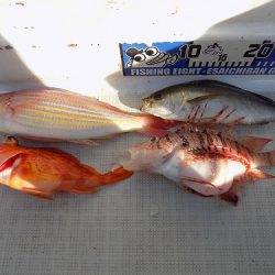 フィッシングボート空風(そらかぜ) 釣果