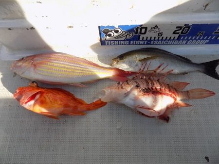 フィッシングボート空風(そらかぜ) 釣果