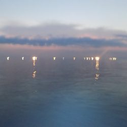 フィッシングボート空風(そらかぜ) 釣果