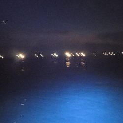 フィッシングボート空風(そらかぜ) 釣果