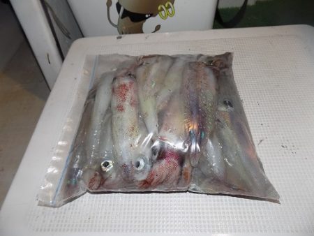 フィッシングボート空風(そらかぜ) 釣果